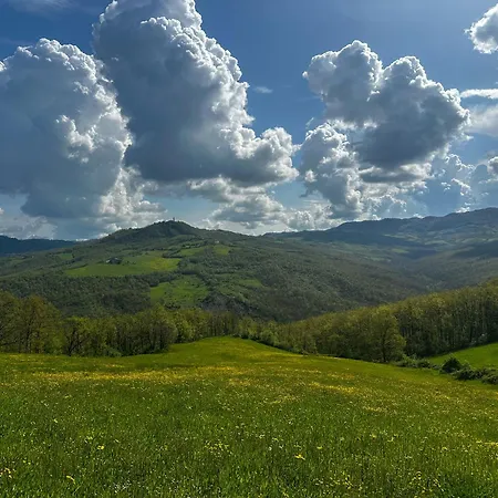 Casa Del Cervo Апартаменты *