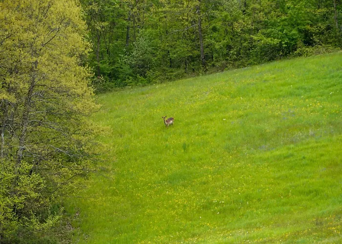 Casa Del Cervo * Sestola